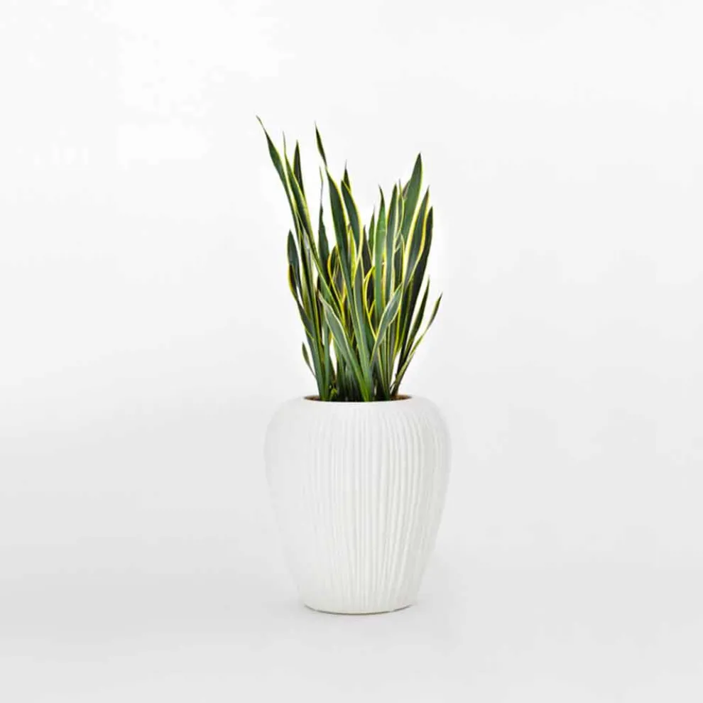 Innen- oder Außendekoration Vase aus Polyethylen 2 Stück - Haut von Myyour