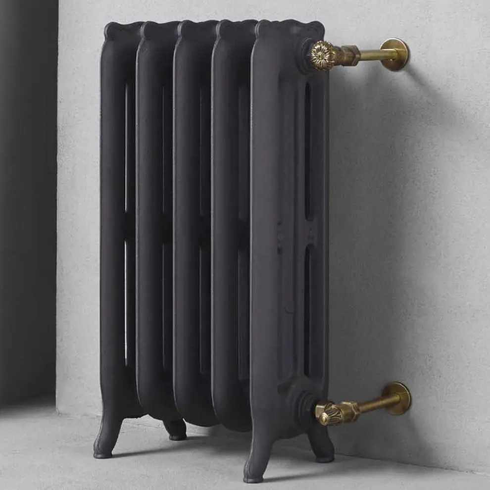 Design Kühler 5 glatte Elemente aus Gusseisen vom Boden bis 914 W - Barock
