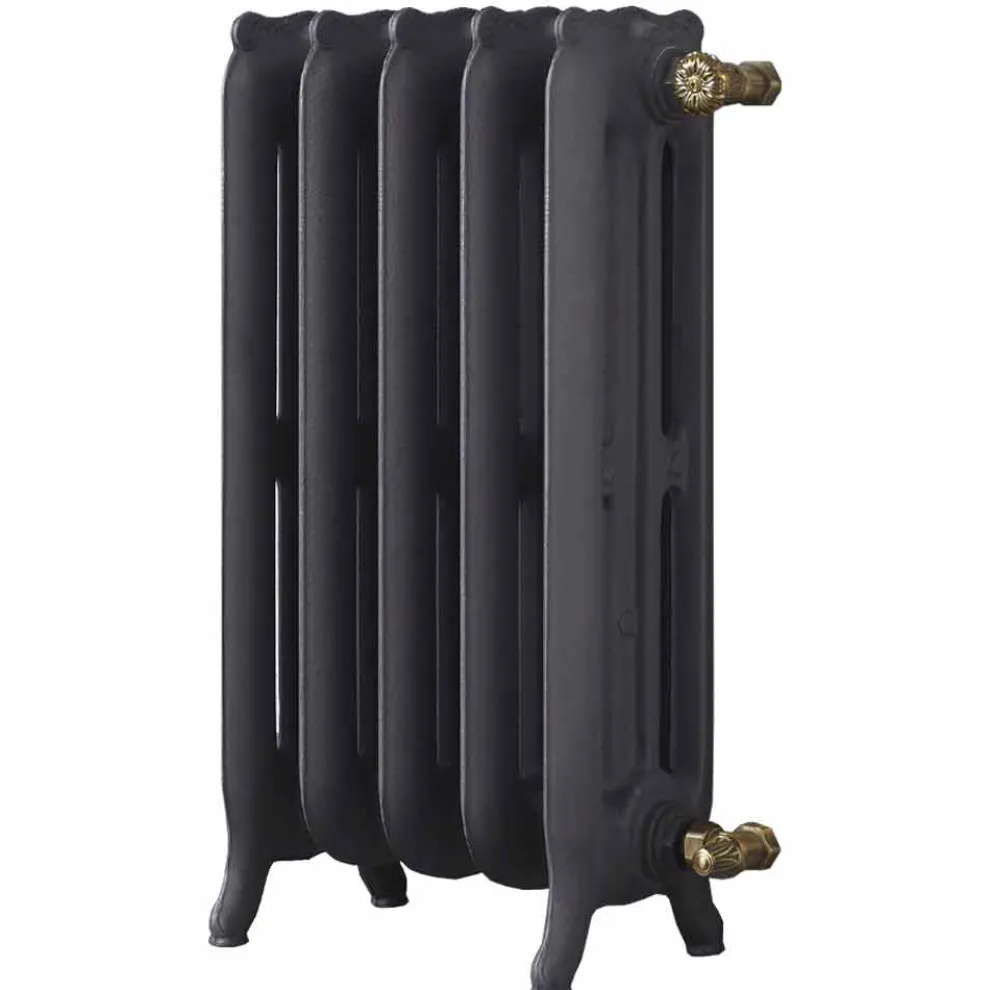 Design Kühler 5 glatte Elemente aus Gusseisen vom Boden bis 914 W - Barock
