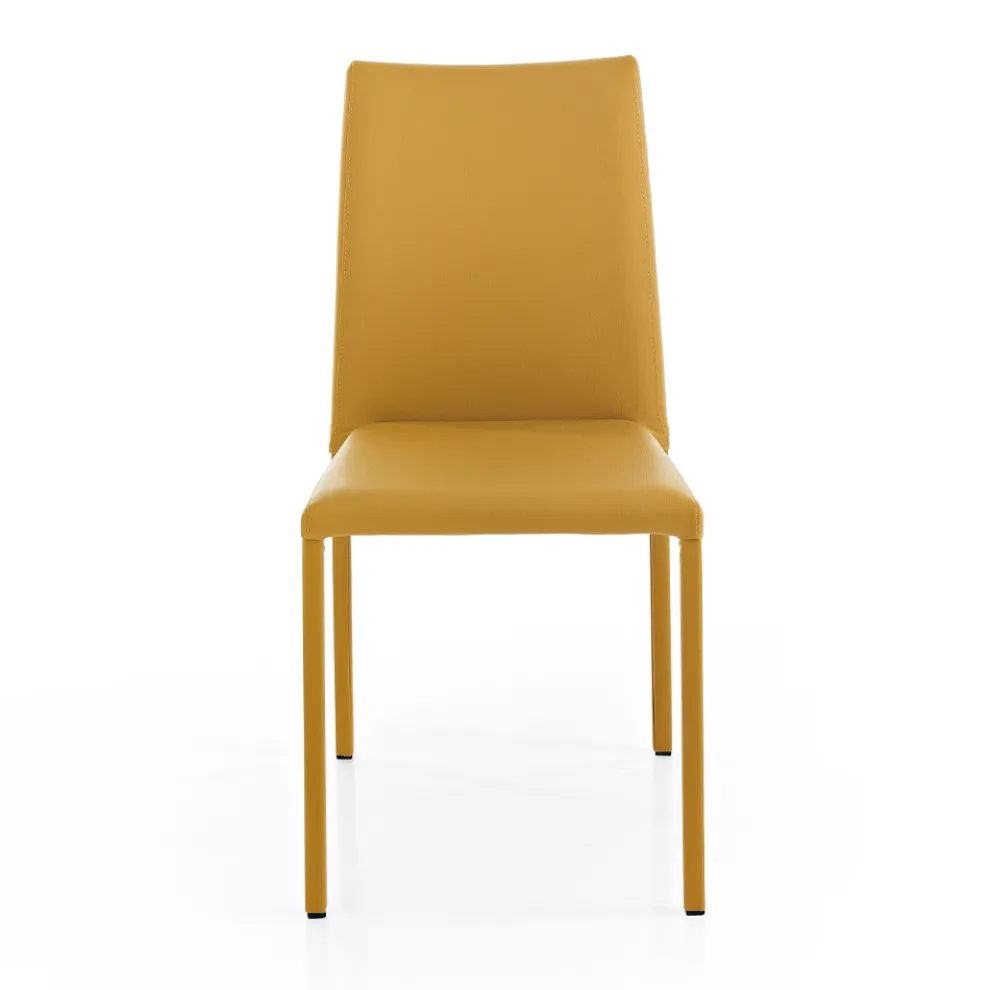 Eleganter moderner Designstuhl aus farbigem Kunstleder für das Wohnzimmer - Grenger
