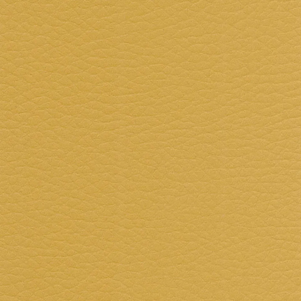 Eleganter moderner Designstuhl aus farbigem Kunstleder für das Wohnzimmer - Grenger