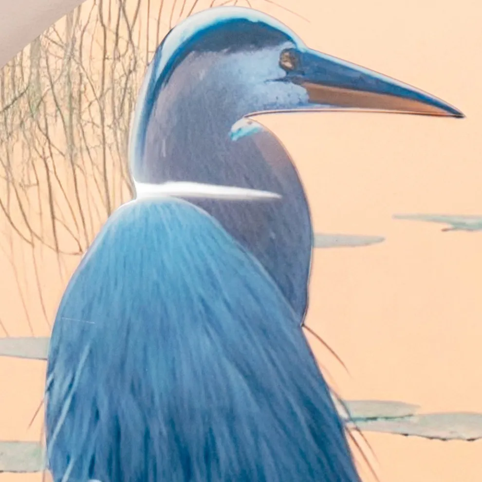 Komposition aus Holzgemälden mit Vogeldruck, hergestellt in Italien – Belize