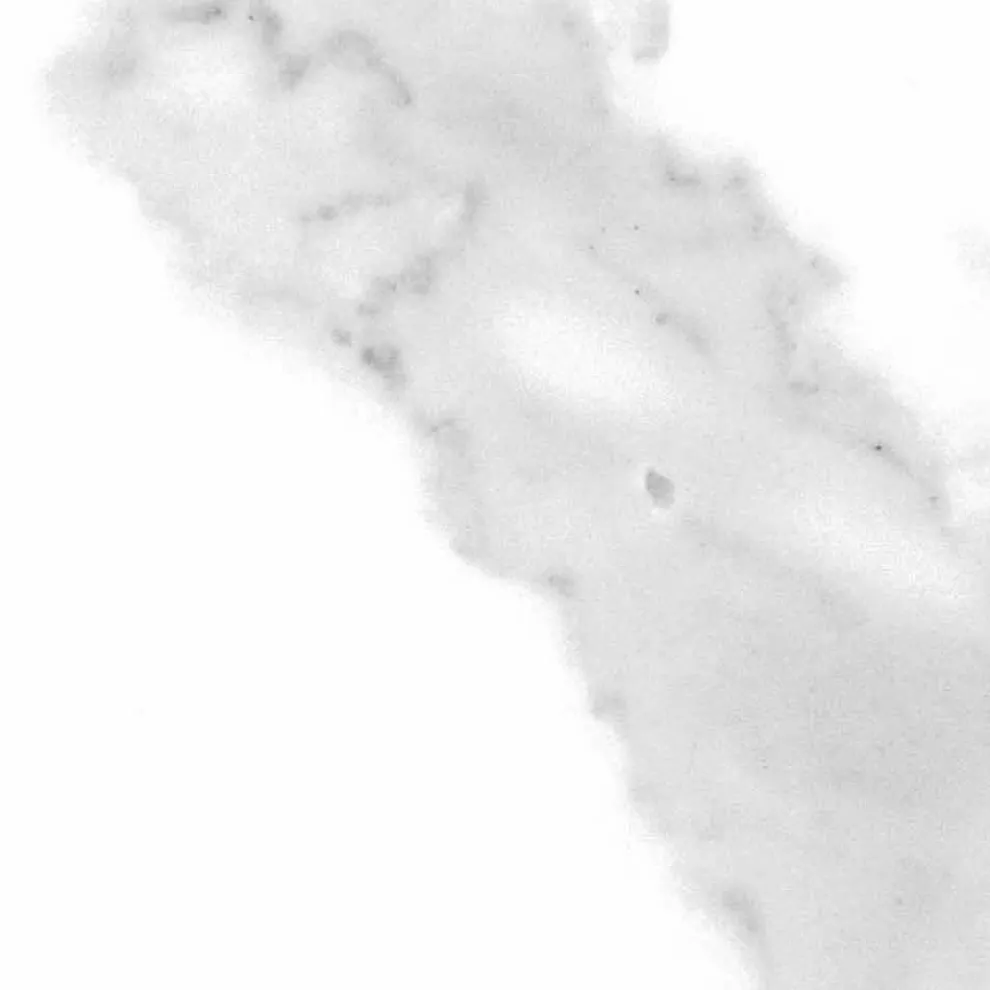 Luxus Boden Bücherregal aus Holz mit Steinzeug Tops Made in Italy - Aspide