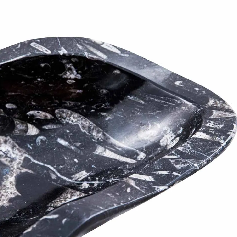 Modernes Waschbecken aus Marmor mit Fossilien - Burgeo