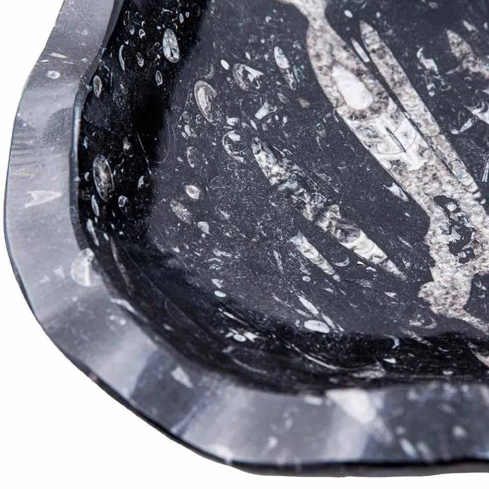 Modernes Waschbecken aus Marmor mit Fossilien - Burgeo