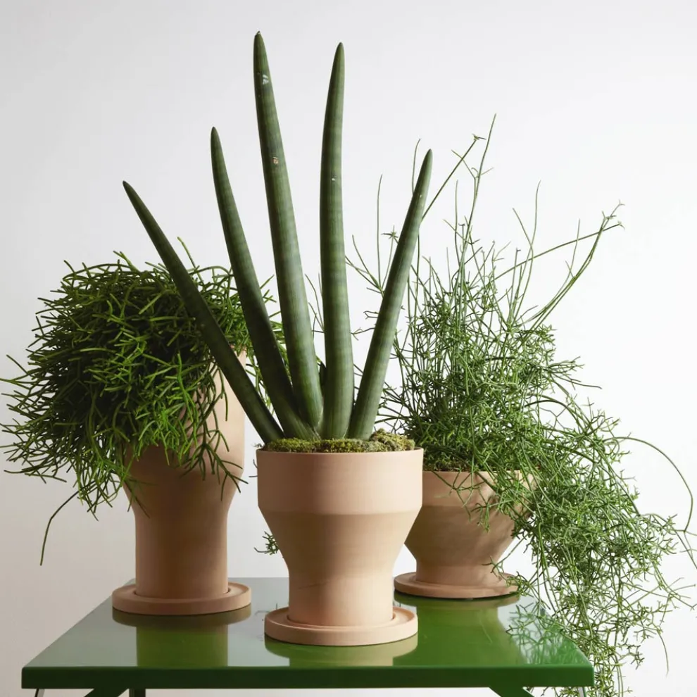 Dekorative Blumenvase mit Terrakotta-Untertasse Made in Italy - Lorna