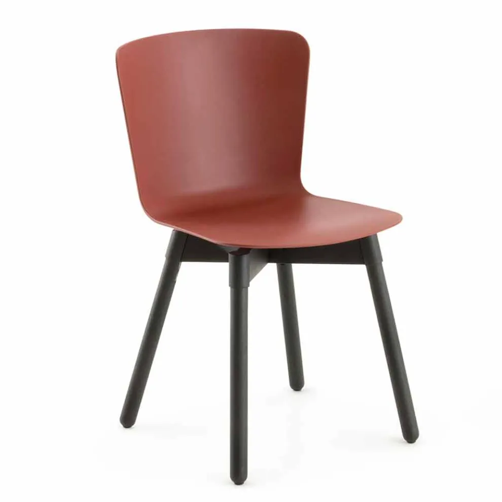 Polypropylen Stuhl mit gebeizter Eichenbasis Made in Italy, 2 Stück - Scandio