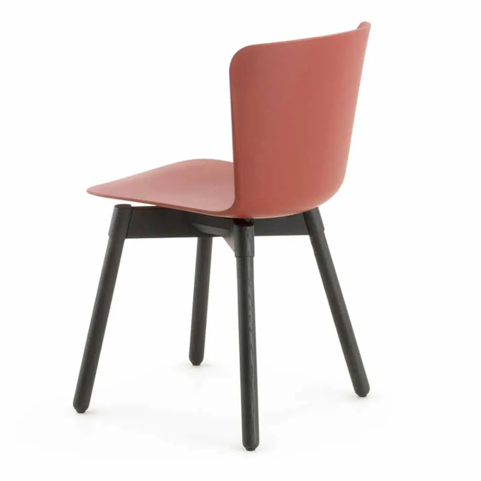 Polypropylen Stuhl mit gebeizter Eichenbasis Made in Italy, 2 Stück - Scandio