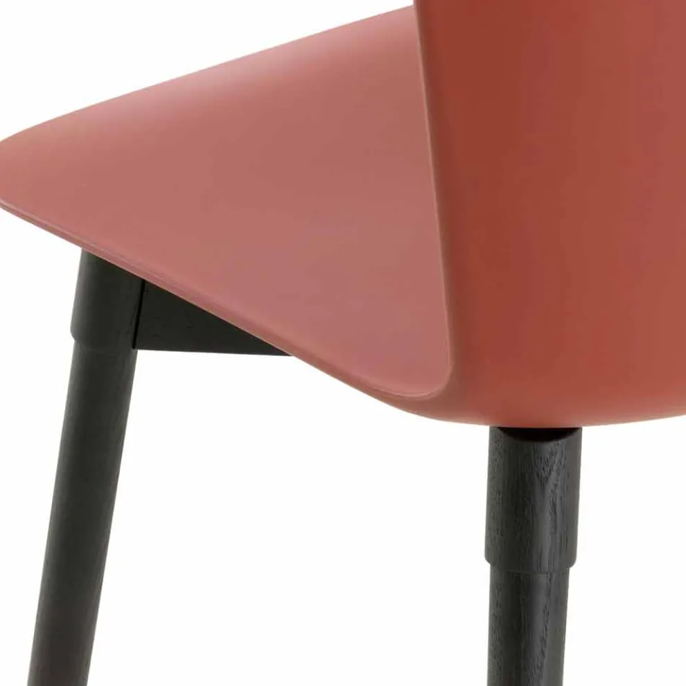 Polypropylen Stuhl mit gebeizter Eichenbasis Made in Italy, 2 Stück - Scandio