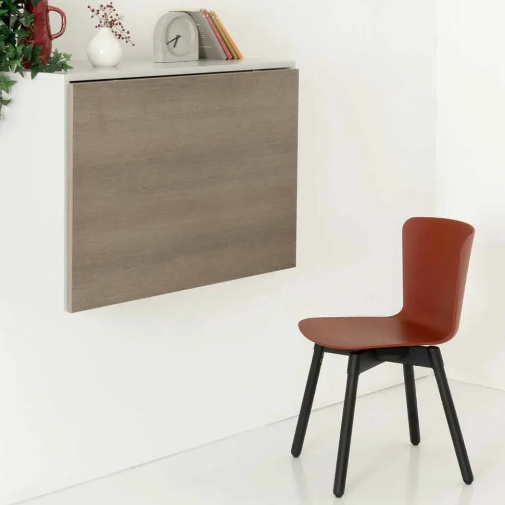 Polypropylen Stuhl mit gebeizter Eichenbasis Made in Italy, 2 Stück - Scandio