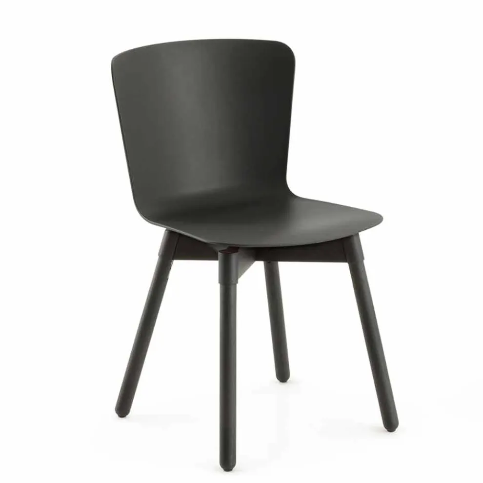 Polypropylen Stuhl mit gebeizter Eichenbasis Made in Italy, 2 Stück - Scandio