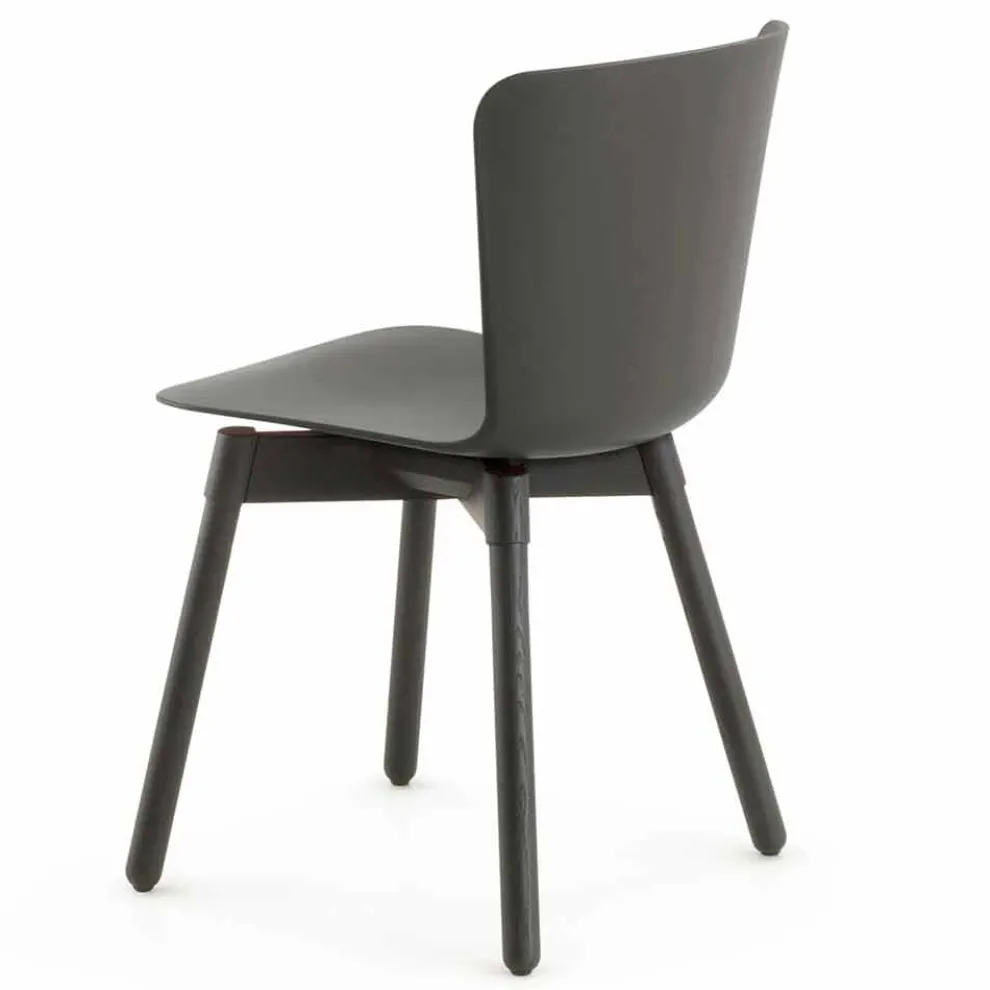 Polypropylen Stuhl mit gebeizter Eichenbasis Made in Italy, 2 Stück - Scandio