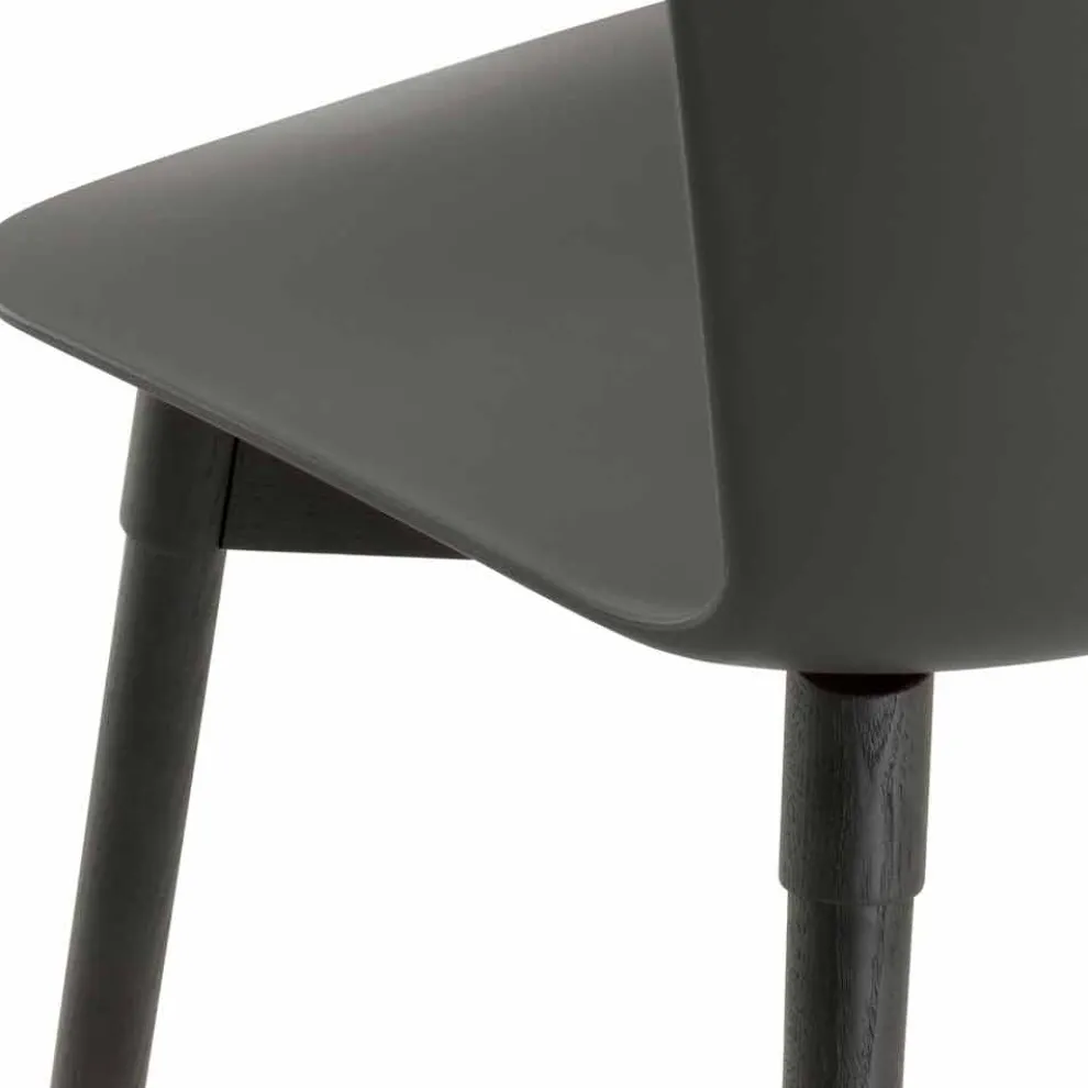 Polypropylen Stuhl mit gebeizter Eichenbasis Made in Italy, 2 Stück - Scandio