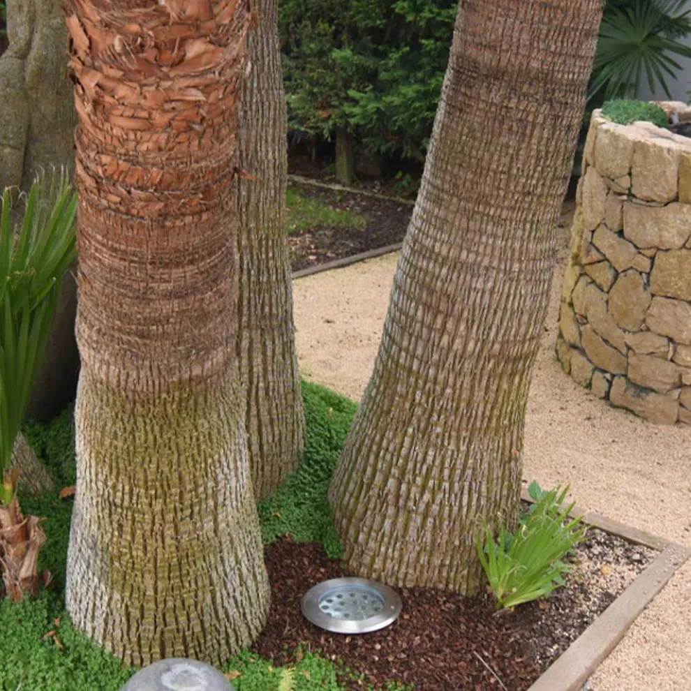 Projektor, Rundstrahler mit Außen-LED aus Edelstahl - Dakota