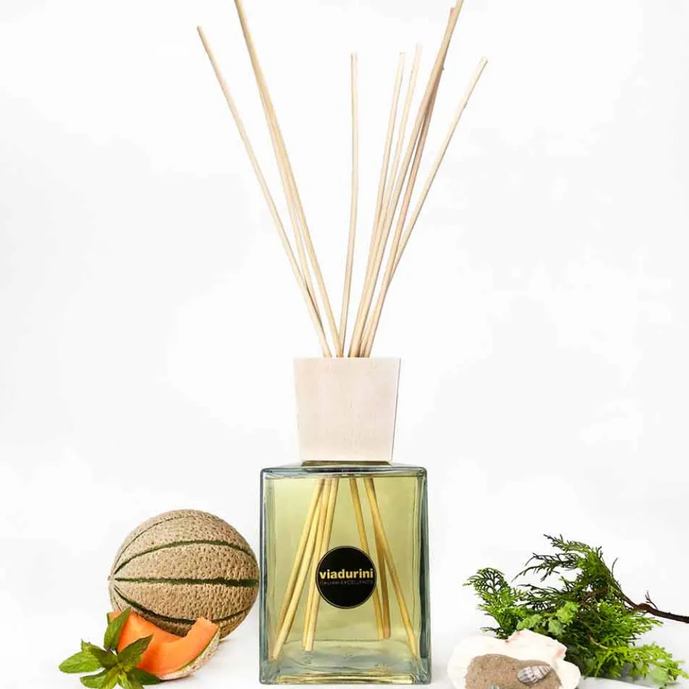 Raumduft Diffuser Meerwasser 2,5 Lt mit Sticks - Essenzadiportofino