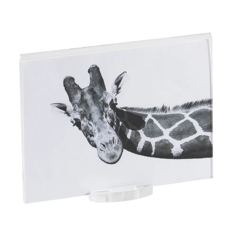 Transparenter Acryl-Kristall-Bilderrahmen mit Design-Basis - Rover